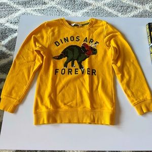 Dino sweatshirt for boys